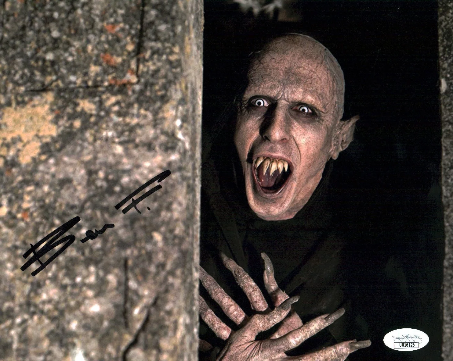 Benjamin Fransham What We Do In The Shadows 8x10 Photo Signed Autograph JSA Certified COA Auto