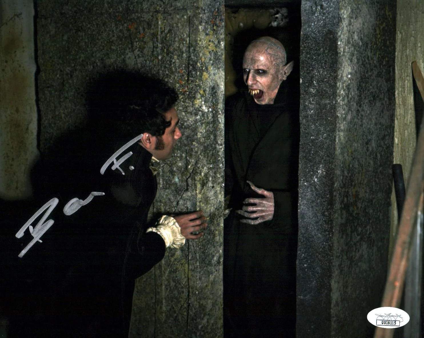 Benjamin Fransham What We Do In The Shadows 8x10 Photo Signed Autograph JSA Certified COA Auto