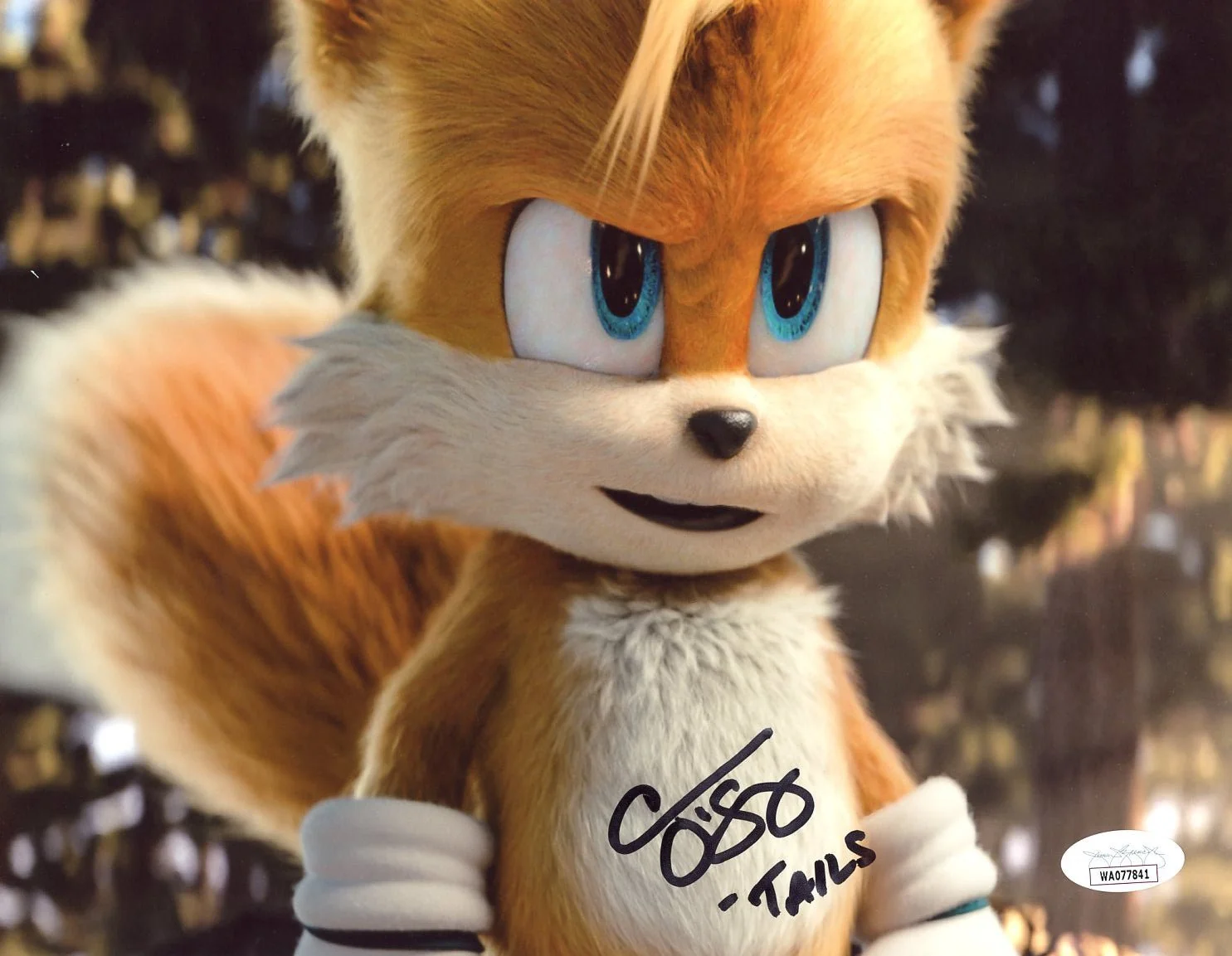 Colleen O'Shaughnessey Sonic the Hedgehog 8x10 Signed Photo JSA Certified Autograph - Image 2